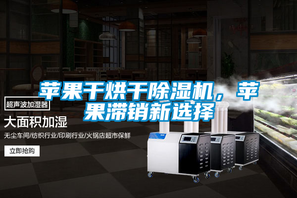 蘋果干烘干除濕機(jī)，蘋果滯銷新選擇