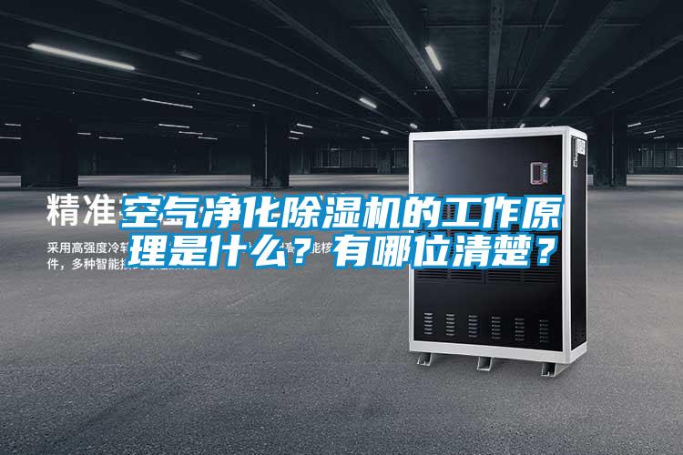 空氣凈化除濕機(jī)的工作原理是什么？有哪位清楚？