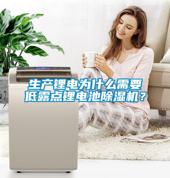 生產鋰電為什么需要低露點鋰電池除濕機？