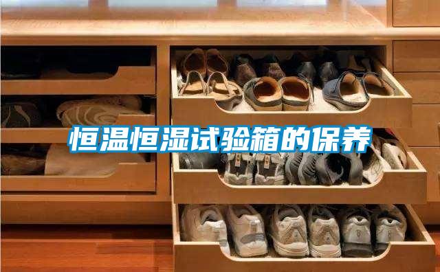恒溫恒濕試驗箱的保養