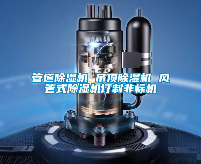 管道除濕機 吊頂除濕機 風(fēng)管式除濕機訂制非標(biāo)機