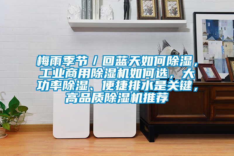 梅雨季節／回藍天如何除濕，工業商用除濕機如何選，大功率除濕、便捷排水是關鍵，高品質除濕機推薦