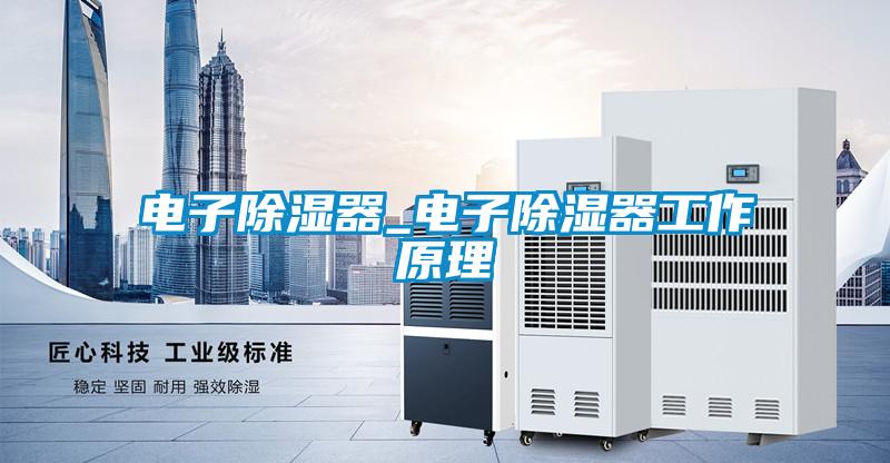 電子除濕器_電子除濕器工作原理