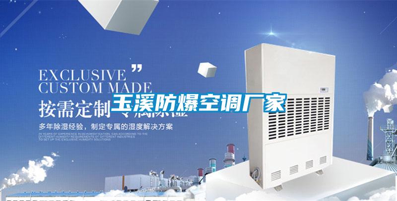 玉溪防爆空調廠家