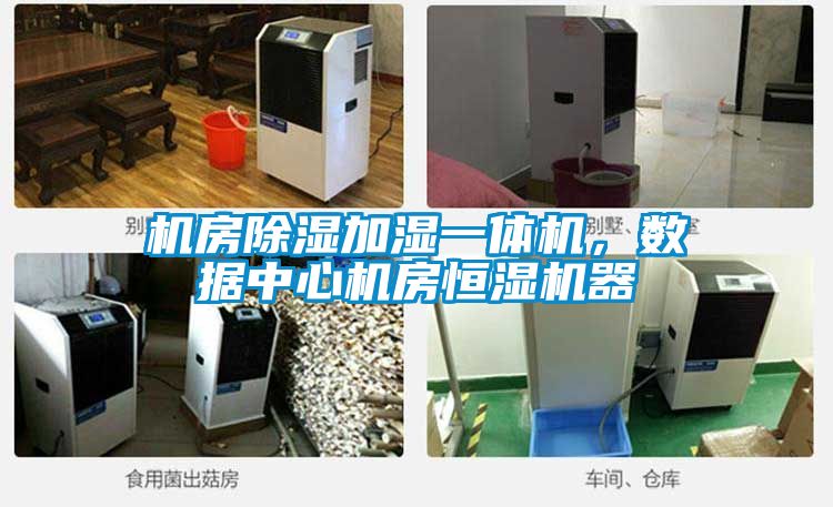 機(jī)房除濕加濕一體機(jī),數(shù)據(jù)中心機(jī)房恒濕機(jī)器