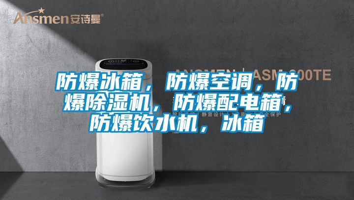 防爆冰箱,防爆空調(diào),防爆除濕機(jī),防爆配電箱,防爆飲水機(jī),冰箱