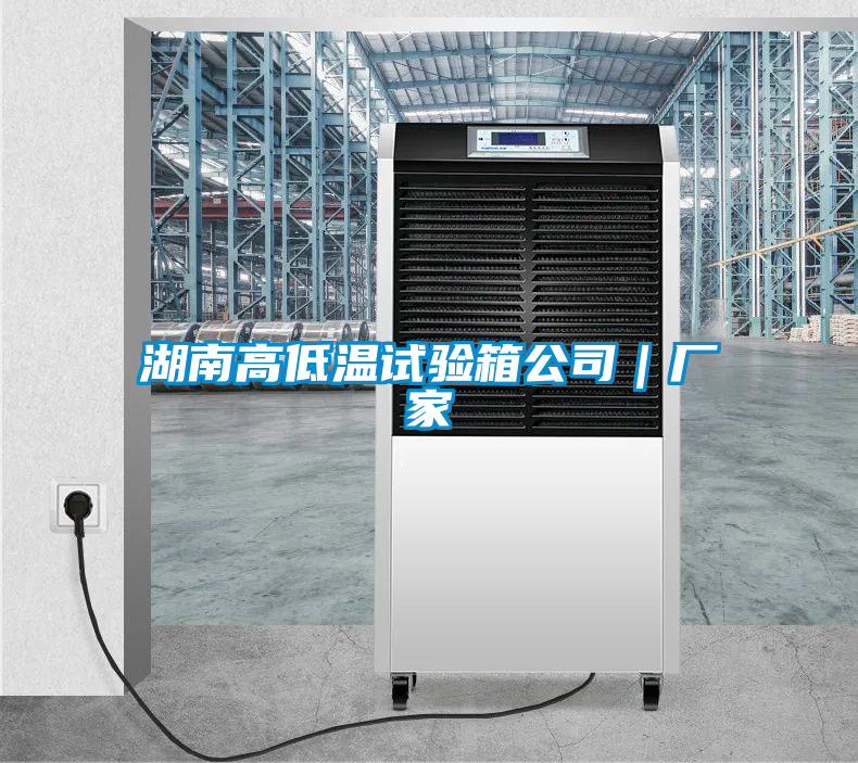 湖南高低溫試驗(yàn)箱公司|廠家