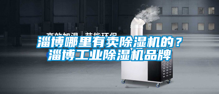 淄博哪里有賣除濕機的？淄博工業除濕機品牌