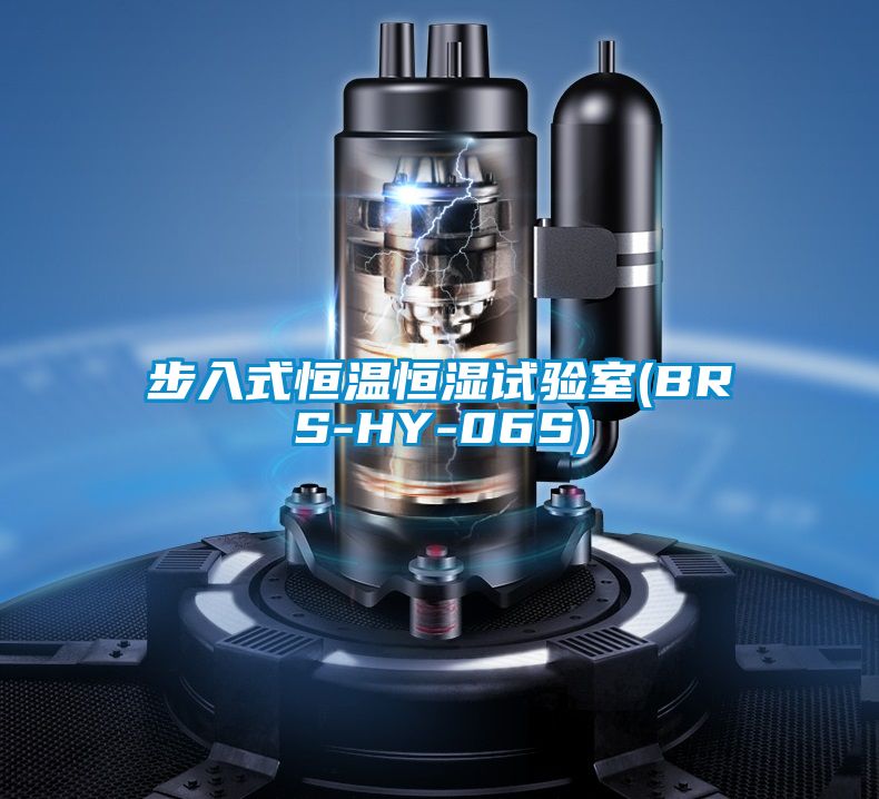 步入式恒溫恒濕試驗(yàn)室(BRS-HY-06S)