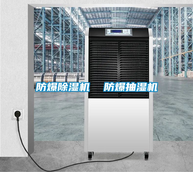 防爆除濕機(jī) 防爆抽濕機(jī)