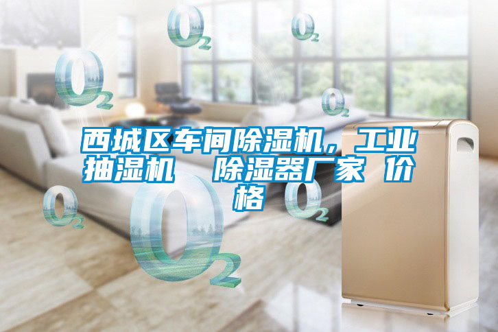 西城區(qū)車(chē)間除濕機(jī),工業(yè)抽濕機(jī) 除濕器廠(chǎng)家 價(jià)格