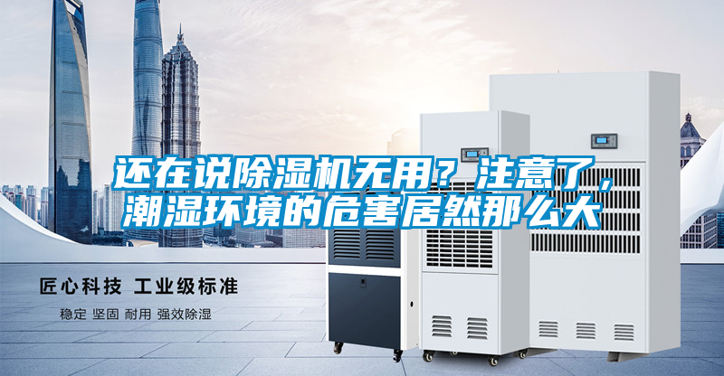 還在說除濕機(jī)無用?注意了,潮濕環(huán)境的危害居然那么大