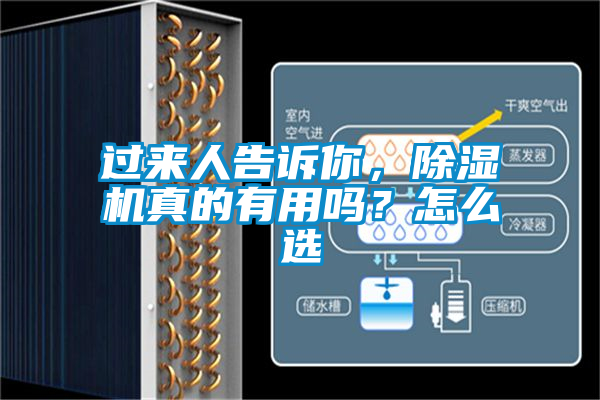 過來人告訴你，除濕機真的有用嗎？怎么選