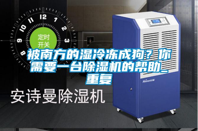 被南方的濕冷凍成狗？你需要一臺除濕機的幫助_重復(fù)
