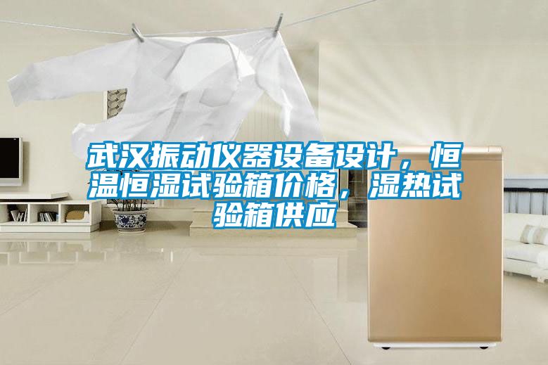 武漢振動儀器設(shè)備設(shè)計，恒溫恒濕試驗(yàn)箱價格，濕熱試驗(yàn)箱供應(yīng)