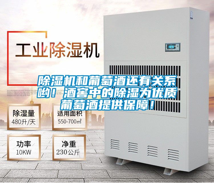 除濕機(jī)和葡萄酒還有關(guān)系喲!酒窖中的除濕為優(yōu)質(zhì)葡萄酒提供保障!