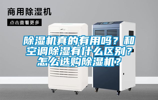 除濕機真的有用嗎?和空調除濕有什么區別?怎么選購除濕機?