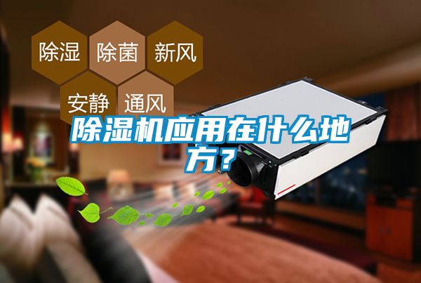 除濕機應用在什么地方?