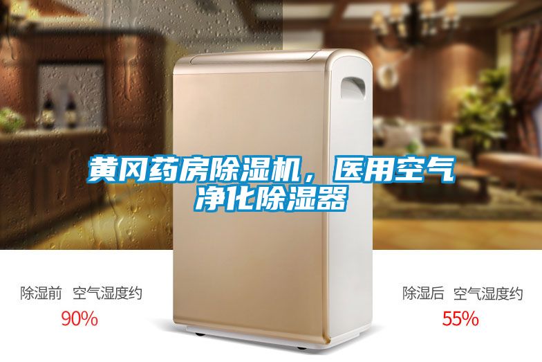 黃岡藥房除濕機(jī)，醫(yī)用空氣凈化除濕器