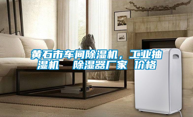 黃石市車間除濕機，工業抽濕機  除濕器廠家 價格