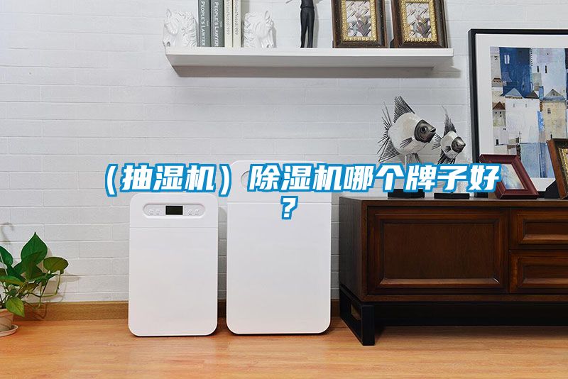 (抽濕機)除濕機哪個牌子好?