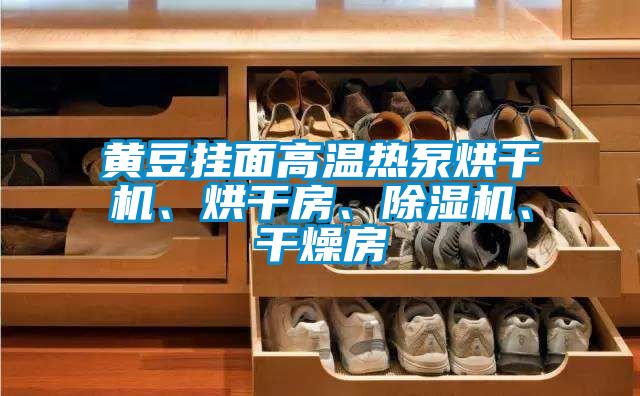 黃豆掛面高溫?zé)岜煤娓蓹C、烘干房、除濕機、干燥房
